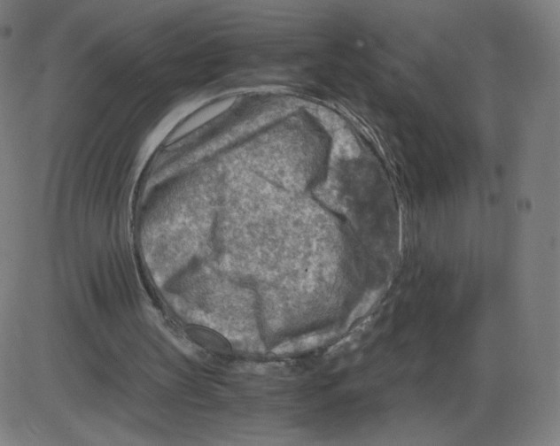 X0000084030147200703161814