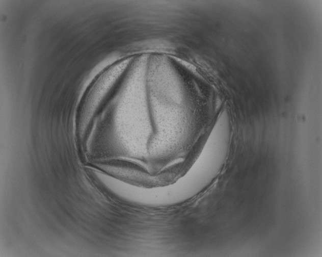 X0000084030148200703161814