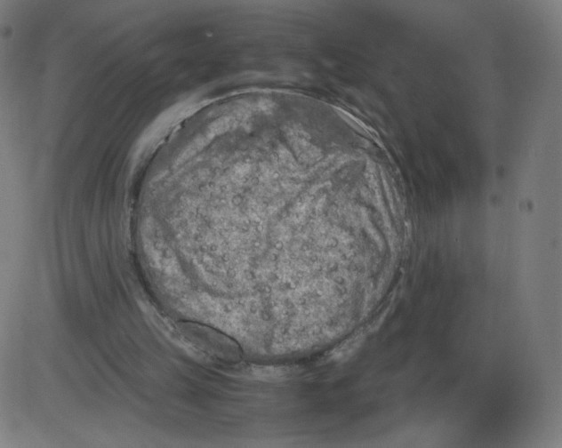 X0000084030149200703161814