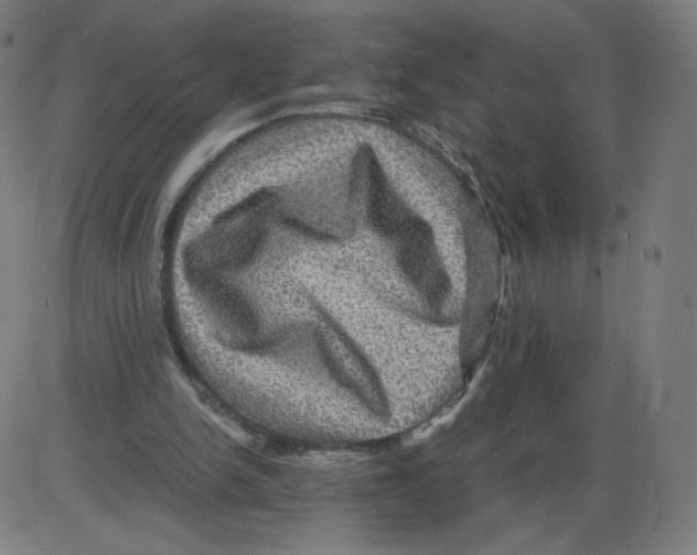 X0000084030150200703161814