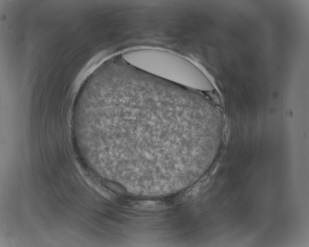 X0000084030151200703161814