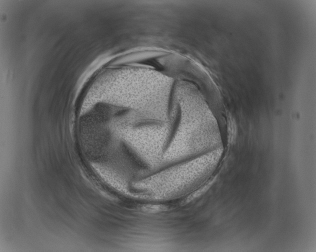 X0000084030152200703161814