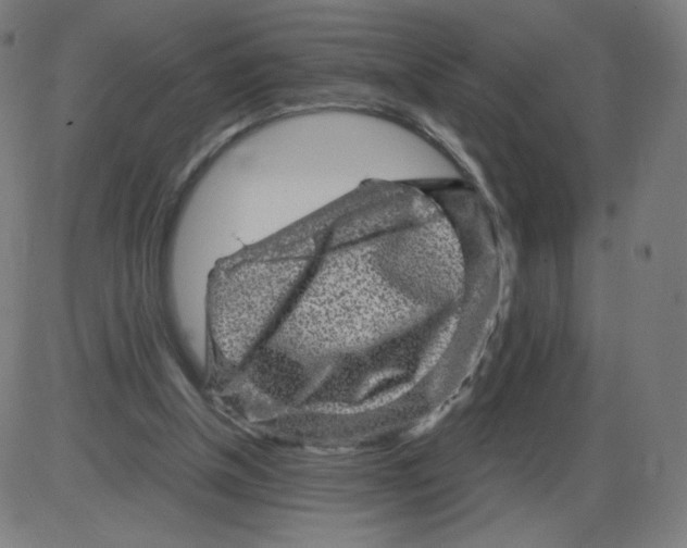 X0000084030154200703161814