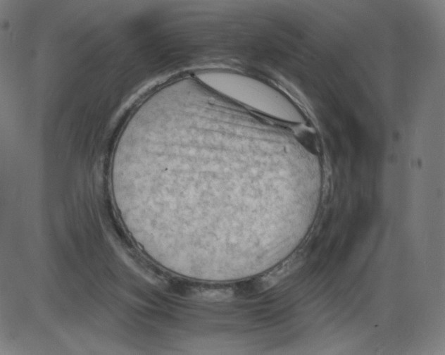 X0000084030155200703161814