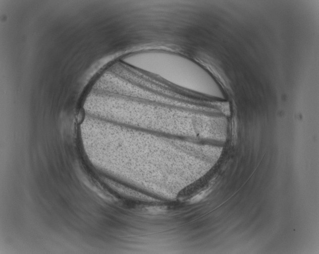 X0000084030156200703161814