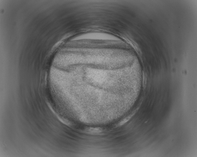 X0000084030157200703161815