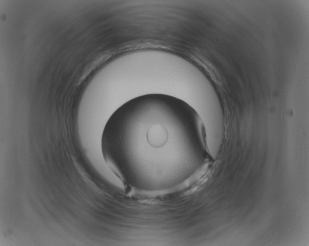 X0000084030158200703161815