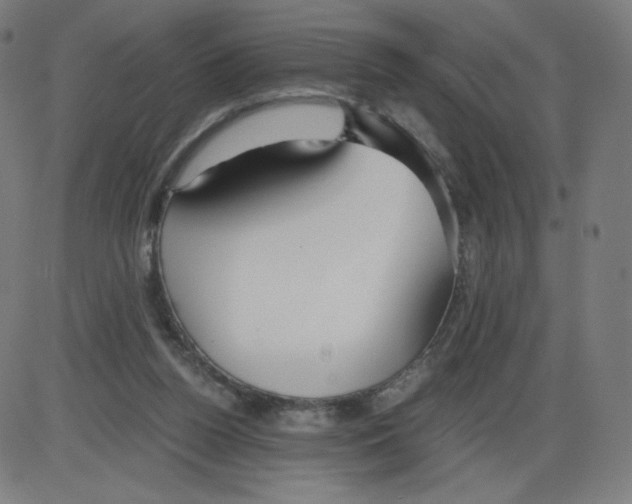 X0000084030160200703161815