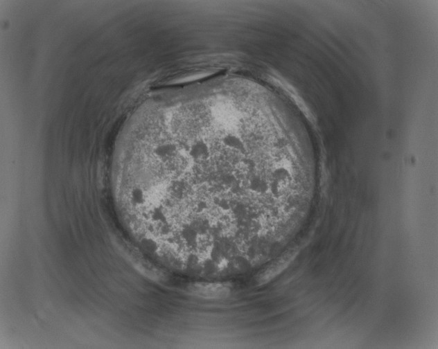 X0000084030161200703161815