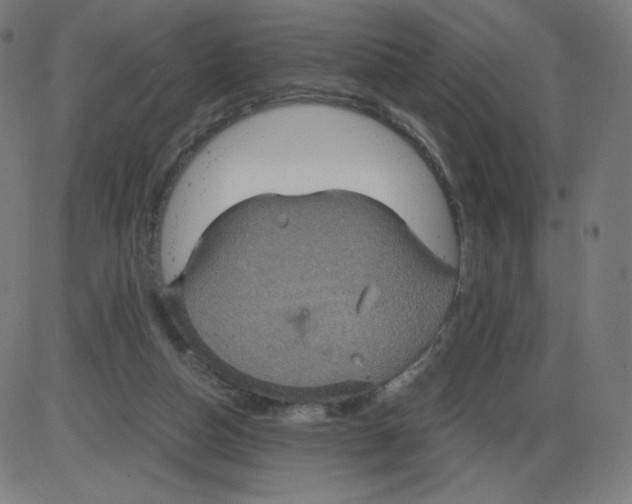 X0000084030162200703161815