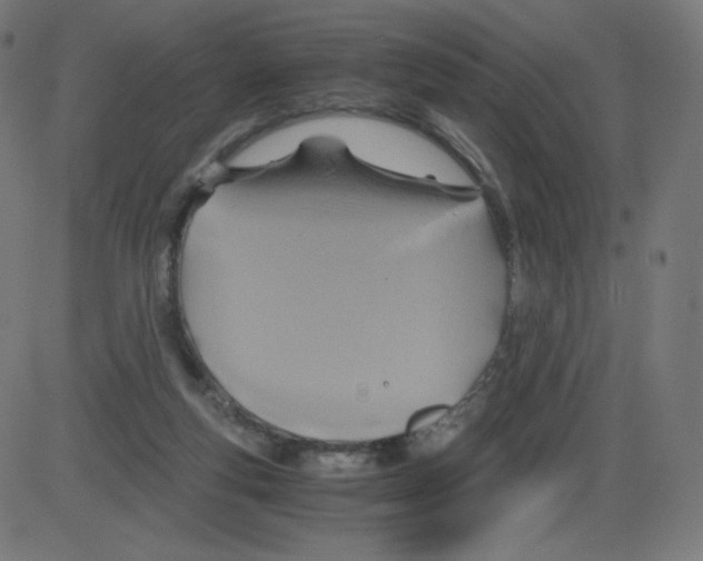 X0000084030163200703161815