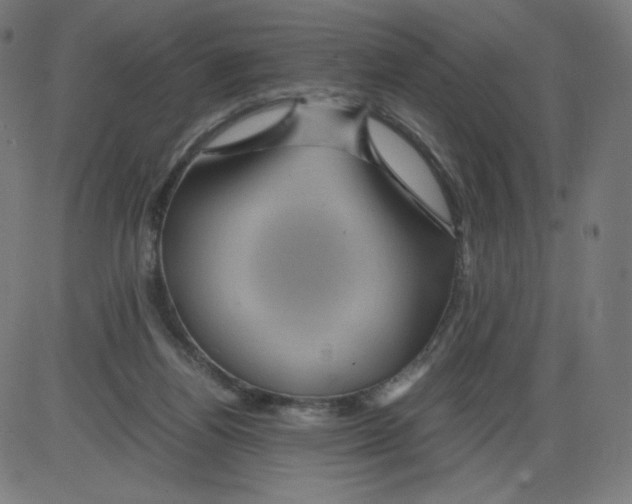 X0000084030164200703161815