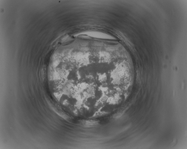 X0000084030165200703161815