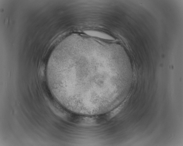 X0000084030166200703161815