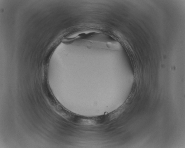 X0000084030167200703161815