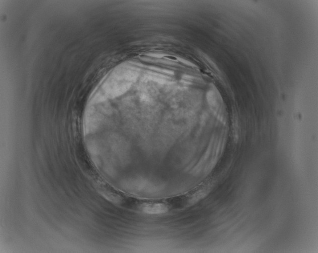 X0000084030169200703161815