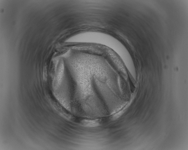 X0000084030170200703161815