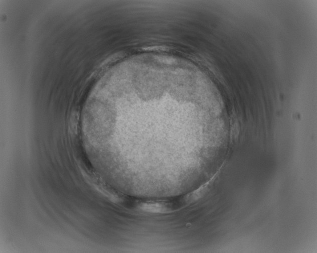 X0000084030171200703161815