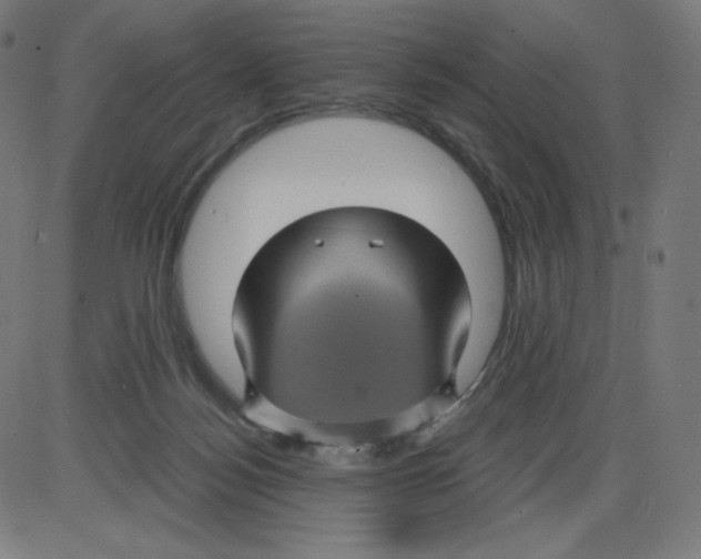 X0000084030172200703161815