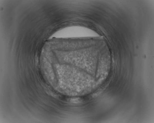 X0000084030173200703161815