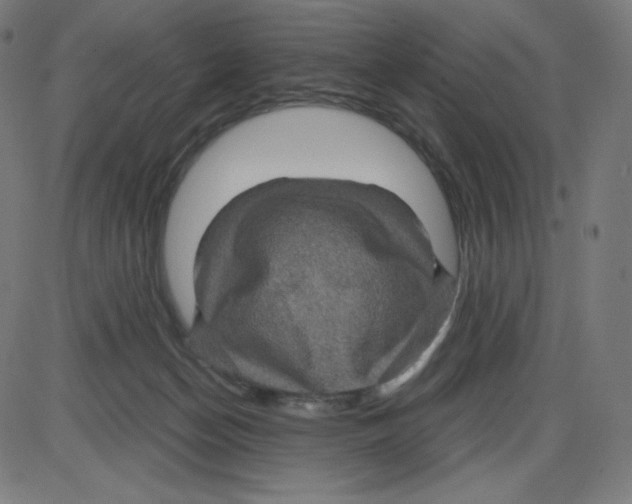 X0000084030174200703161815