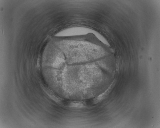 X0000084030175200703161815