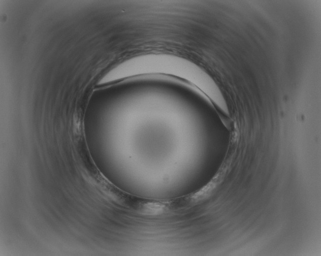 X0000084030176200703161815