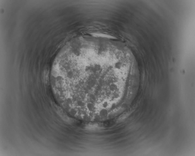 X0000084030177200703161815