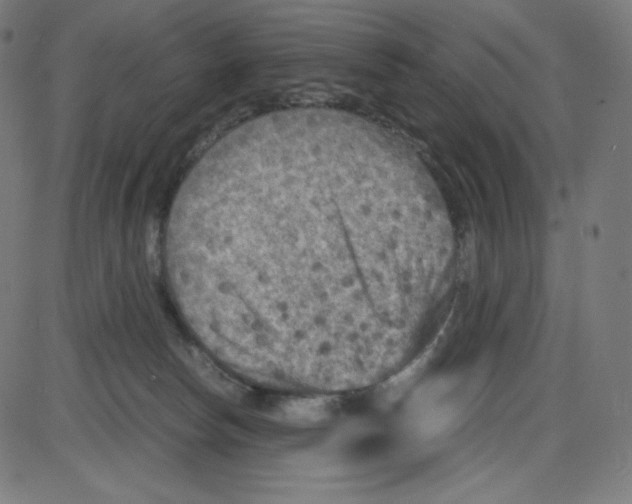 X0000084030178200703161815