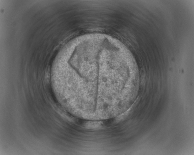 X0000084030179200703161815