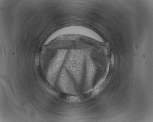 X0000084030180200703161815