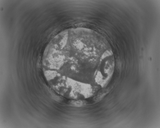 X0000084030181200703161815