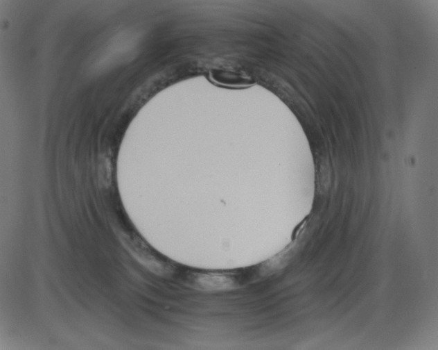 X0000084030183200703161815