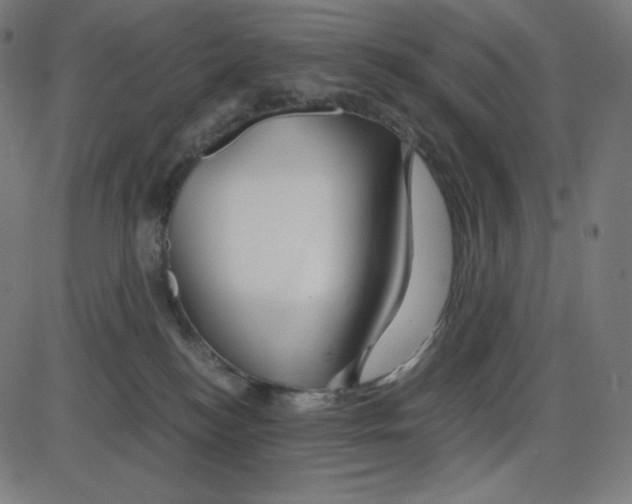 X0000084030184200703161815