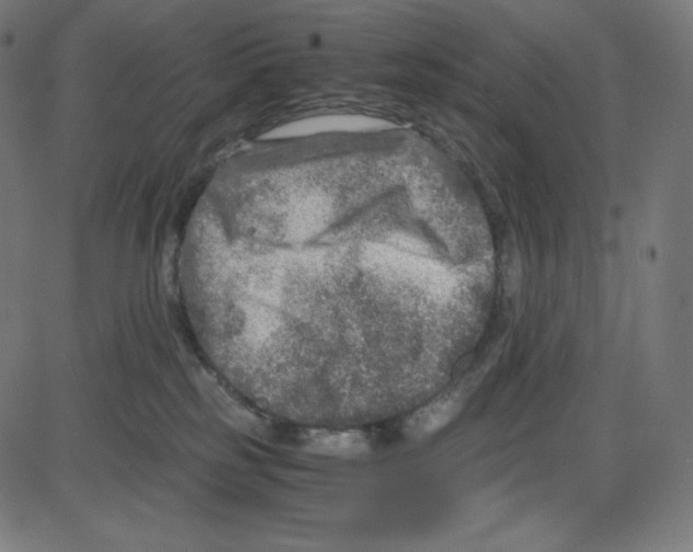 X0000084030185200703161815