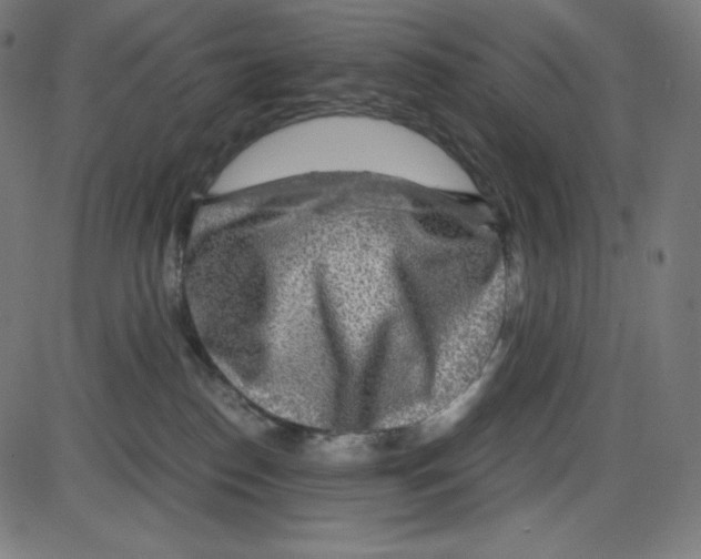 X0000084030186200703161815