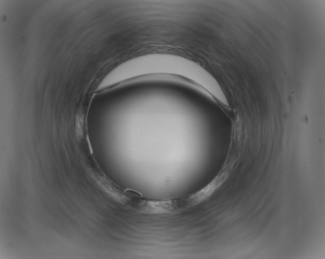 X0000084030188200703161815