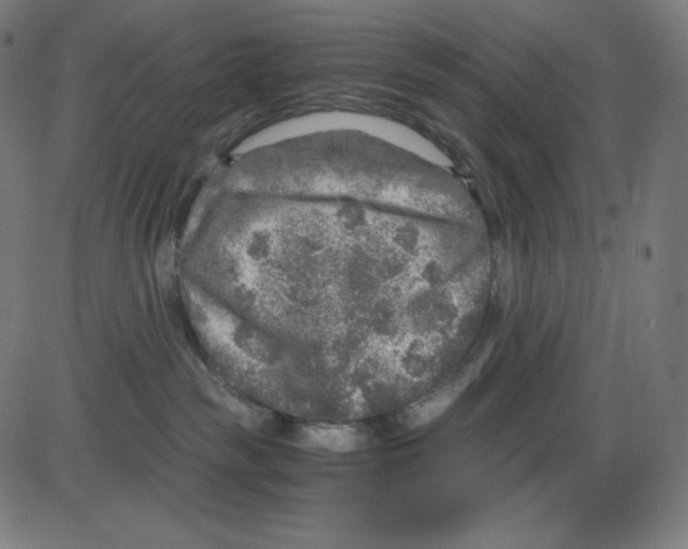 X0000084030189200703161815