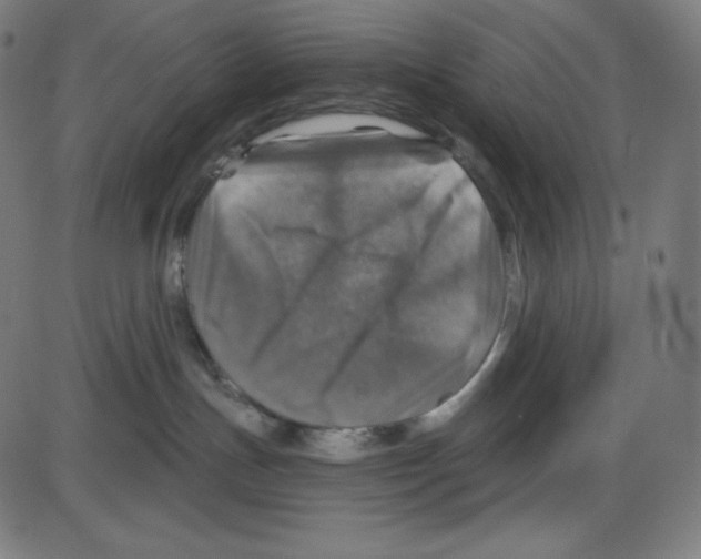 X0000084030191200703161815