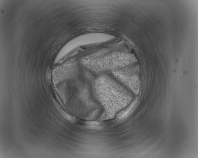 X0000084030192200703161815