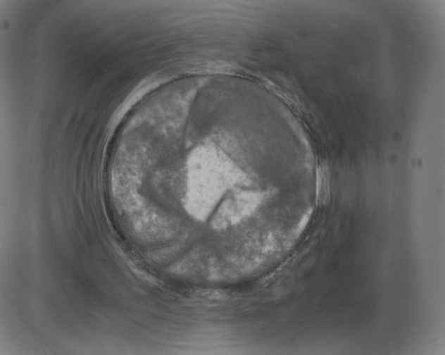 X0000084030195200703161814