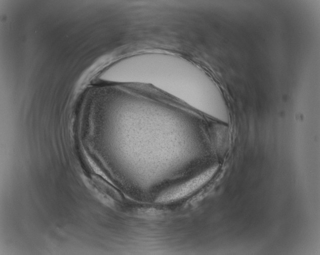 X0000084030197200703161814