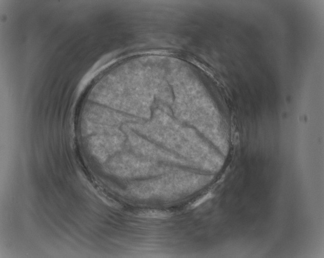 X0000084030198200703161814