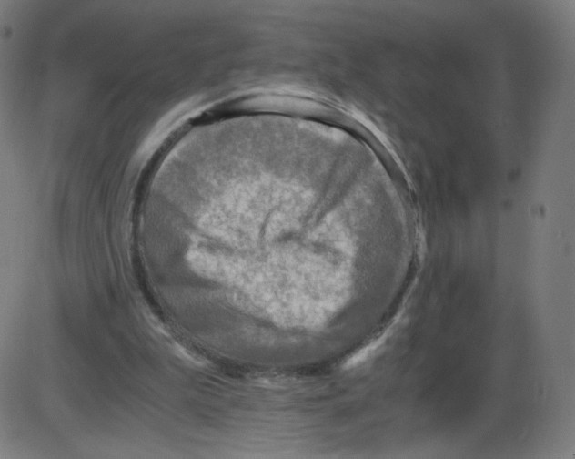 X0000084030199200703161814