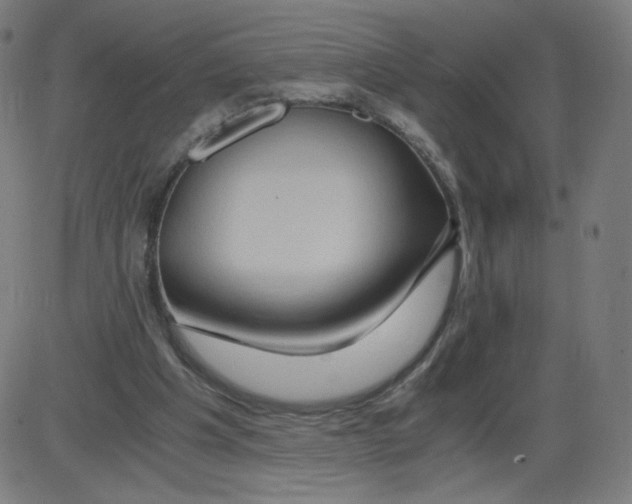 X0000084030201200703161814