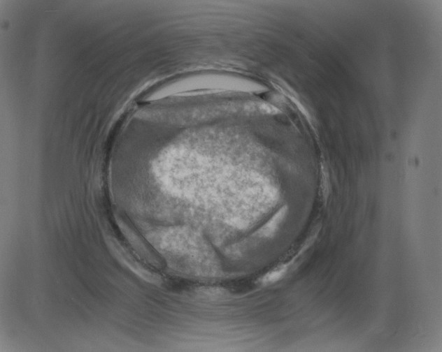 X0000084030203200703161814