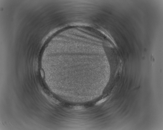 X0000084030204200703161814