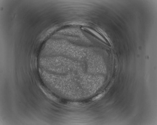 X0000084030205200703161814