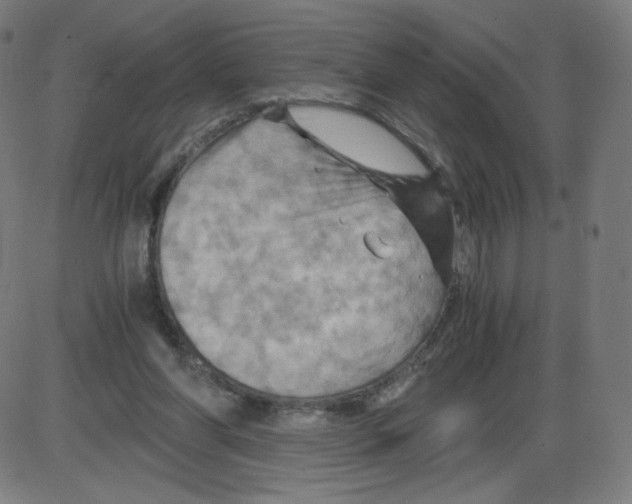 X0000084030206200703161814