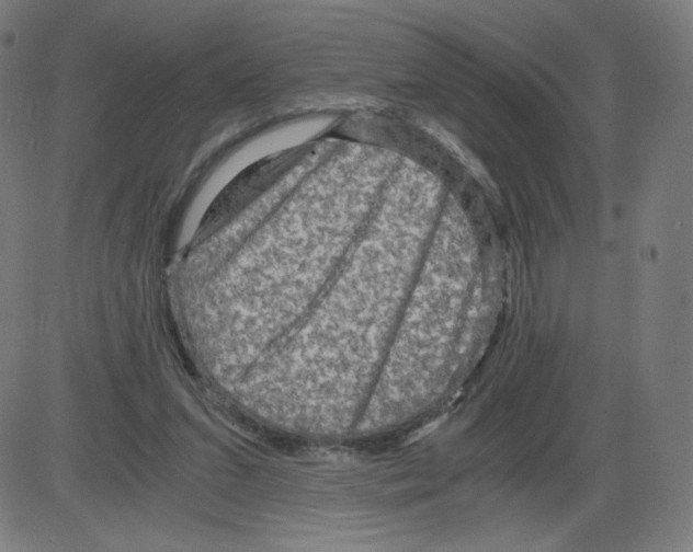 X0000084030207200703161814